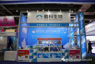 新時(shí)代，共享未來 徽科生物工程技術(shù)服務(wù)精彩無限