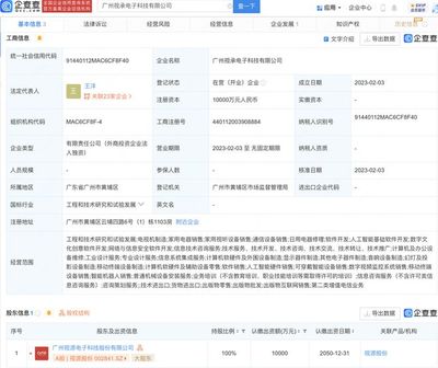 視源股份新設電子科技子公司 深耕數(shù)字文化創(chuàng)意軟件開發(fā)新賽道